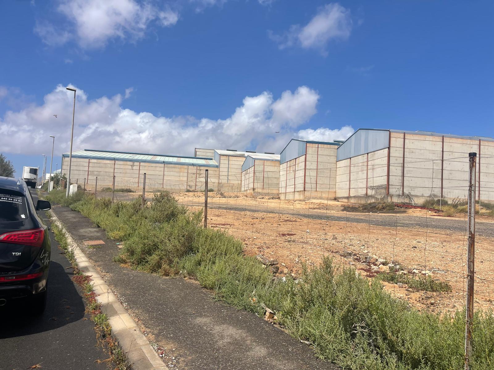 WhatsApp Image 2026-03-21 at 15.38.52 (1)