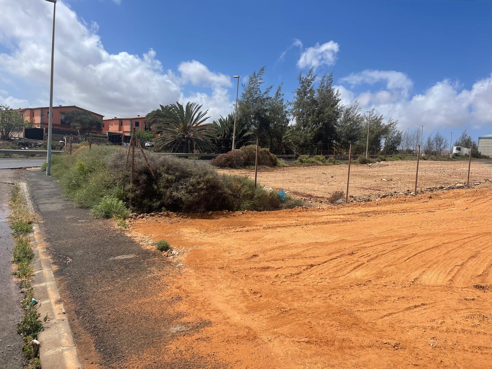 WhatsApp Image 2026-03-21 at 15.38.52 (2)