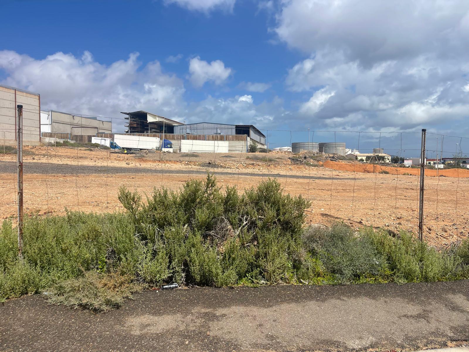 WhatsApp Image 2026-03-21 at 15.38.52